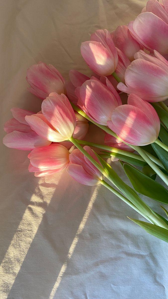 Dawn's Radiant Blossom Harmony